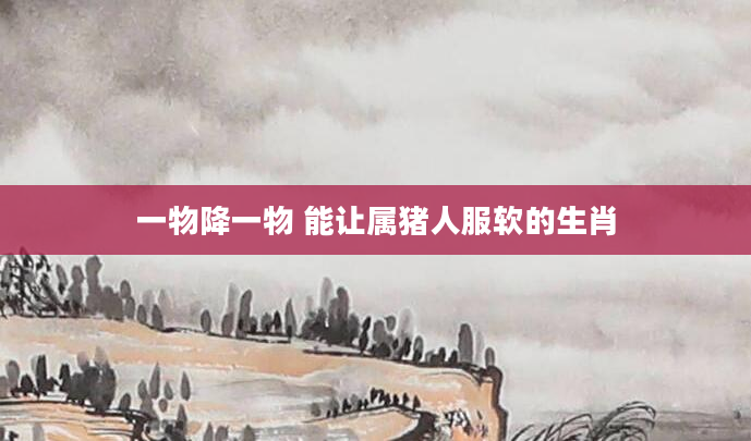 一物降一物 能让属猪人服软的生肖