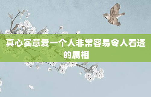 真心实意爱一个人非常容易令人看透的属相