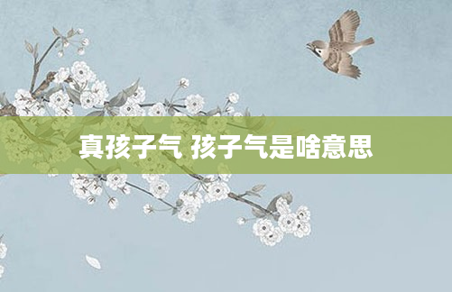 真孩子气 孩子气是啥意思