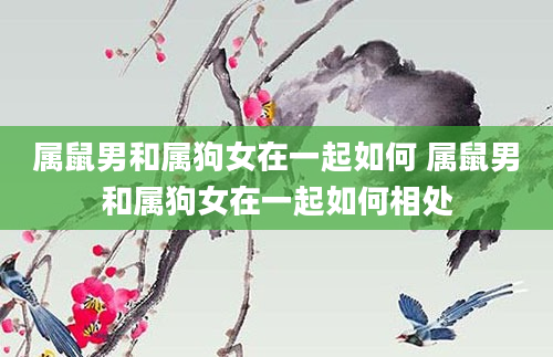 属鼠男和属狗女在一起如何 属鼠男和属狗女在一起如何相处