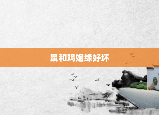 鼠和鸡姻缘好坏