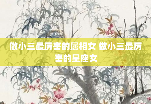 做小三最厉害的属相女 做小三最厉害的星座女