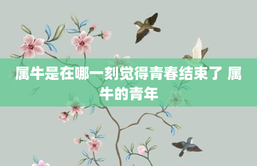 属牛是在哪一刻觉得青春结束了 属牛的青年