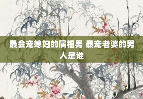 最会宠媳妇的属相男 最宠老婆的男人是谁