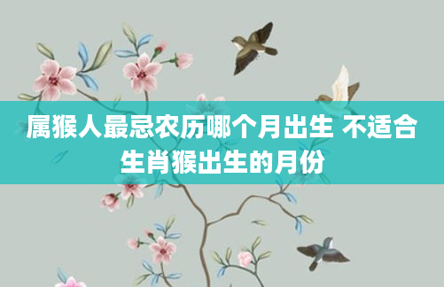 属猴人最忌农历哪个月出生 不适合生肖猴出生的月份
