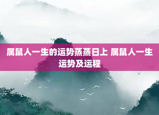 属鼠人一生的运势蒸蒸日上 属鼠人一生运势及运程