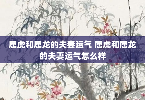 属虎和属龙的夫妻运气 属虎和属龙的夫妻运气怎么样