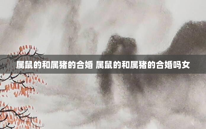 属鼠的和属猪的合婚 属鼠的和属猪的合婚吗女