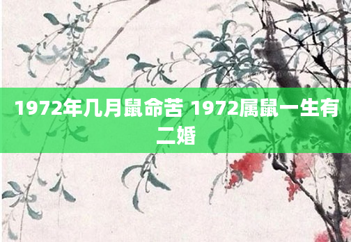 1972年几月鼠命苦 1972属鼠一生有二婚