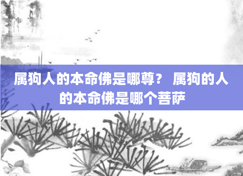 属狗人的本命佛是哪尊？ 属狗的人的本命佛是哪个菩萨
