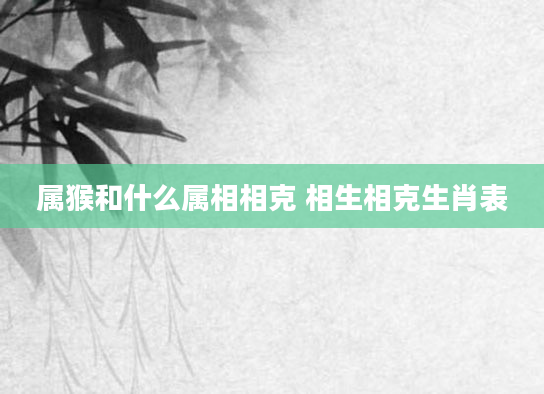 属猴和什么属相相克 相生相克生肖表