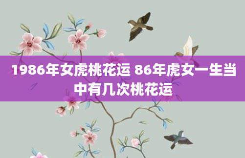 1986年女虎桃花运 86年虎女一生当中有几次桃花运