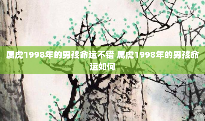 属虎1998年的男孩命运不错 属虎1998年的男孩命运如何