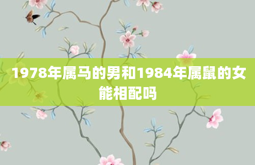 1978年属马的男和1984年属鼠的女能相配吗