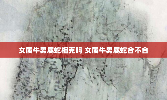女属牛男属蛇相克吗 女属牛男属蛇合不合