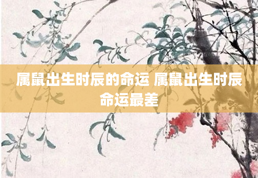 属鼠出生时辰的命运 属鼠出生时辰命运最差
