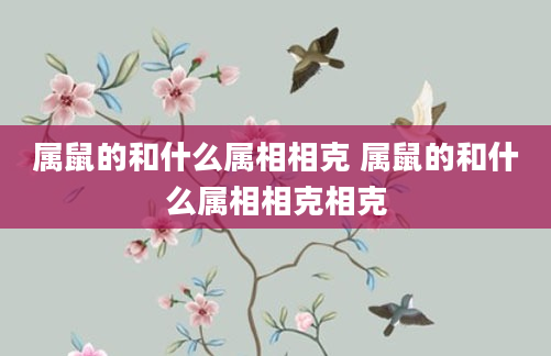 属鼠的和什么属相相克 属鼠的和什么属相相克相克