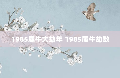 1985属牛大劫年 1985属牛劫数