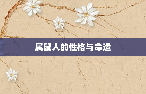 属鼠人的性格与命运