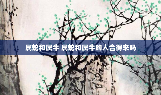 属蛇和属牛 属蛇和属牛的人合得来吗