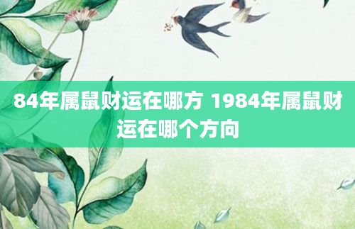 84年属鼠财运在哪方 1984年属鼠财运在哪个方向