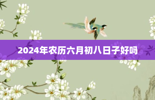 2024年农历六月初八日子好吗