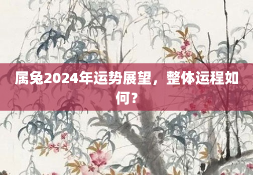 属兔2024年运势展望，整体运程如何？