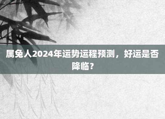 属兔人2024年运势运程预测，好运是否降临？