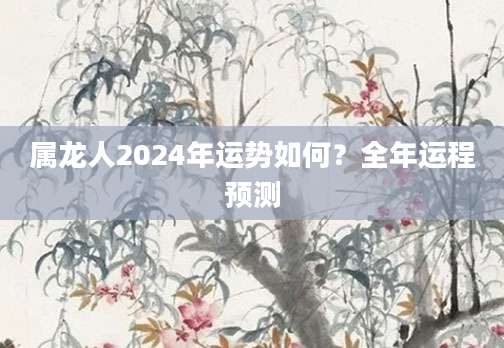 属龙人2024年运势如何？全年运程预测