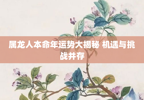 属龙人本命年运势大揭秘 机遇与挑战并存