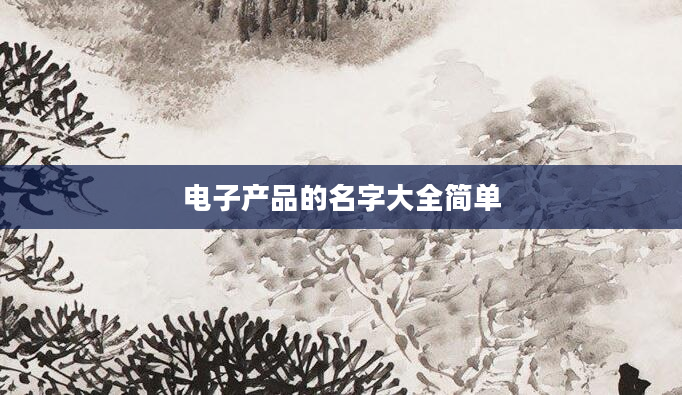 电子产品的名字大全简单