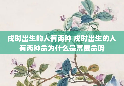 戌时出生的人有两种 戌时出生的人有两种命为什么是富贵命吗