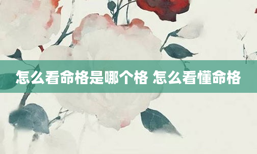 怎么看命格是哪个格 怎么看懂命格