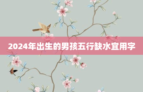 2024年出生的男孩五行缺水宜用字