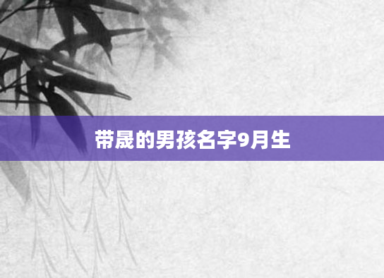 带晟的男孩名字9月生