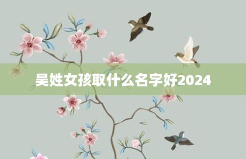 吴姓女孩取什么名字好2024