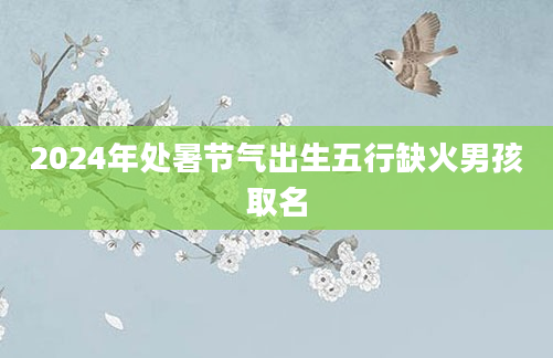 2024年处暑节气出生五行缺火男孩取名
