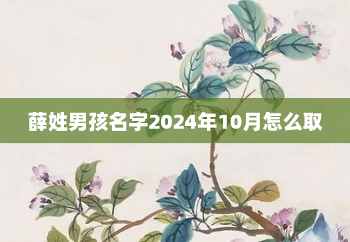 薛姓男孩名字2024年10月怎么取