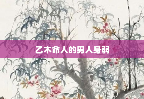 乙木命人的男人身弱