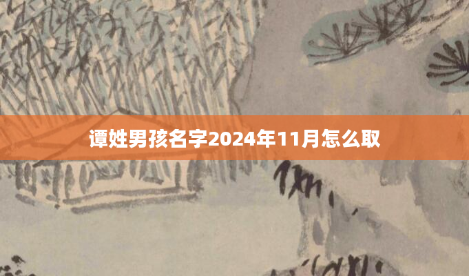 谭姓男孩名字2024年11月怎么取
