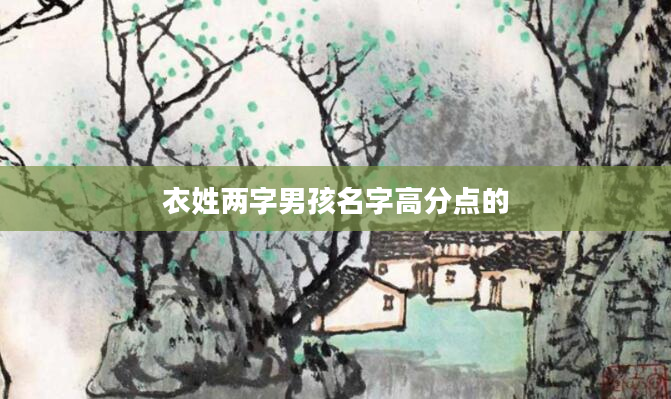 衣姓两字男孩名字高分点的