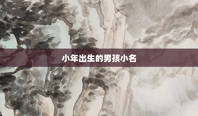 小年出生的男孩小名