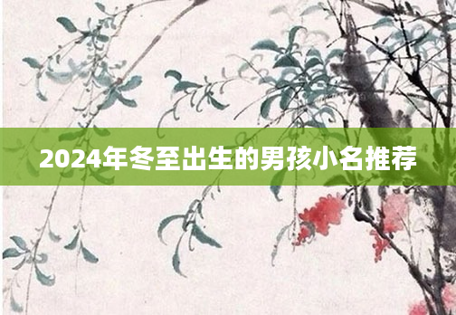 2024年冬至出生的男孩小名推荐