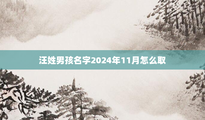 汪姓男孩名字2024年11月怎么取