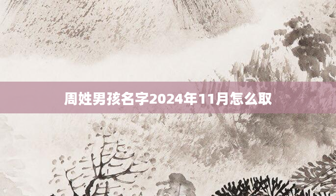 周姓男孩名字2024年11月怎么取