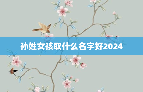 孙姓女孩取什么名字好2024