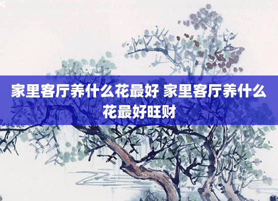 家里客厅养什么花最好 家里客厅养什么花最好旺财
