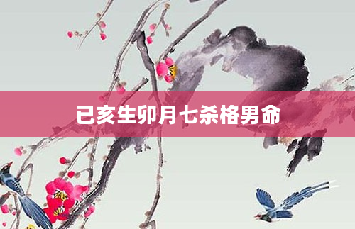 已亥生卯月七杀格男命