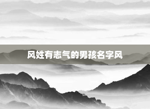风姓有志气的男孩名字风