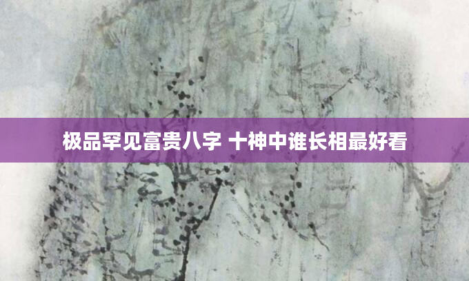 极品罕见富贵八字 十神中谁长相最好看